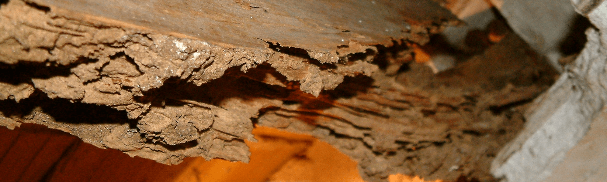 Tratamiento en estructuras de madera