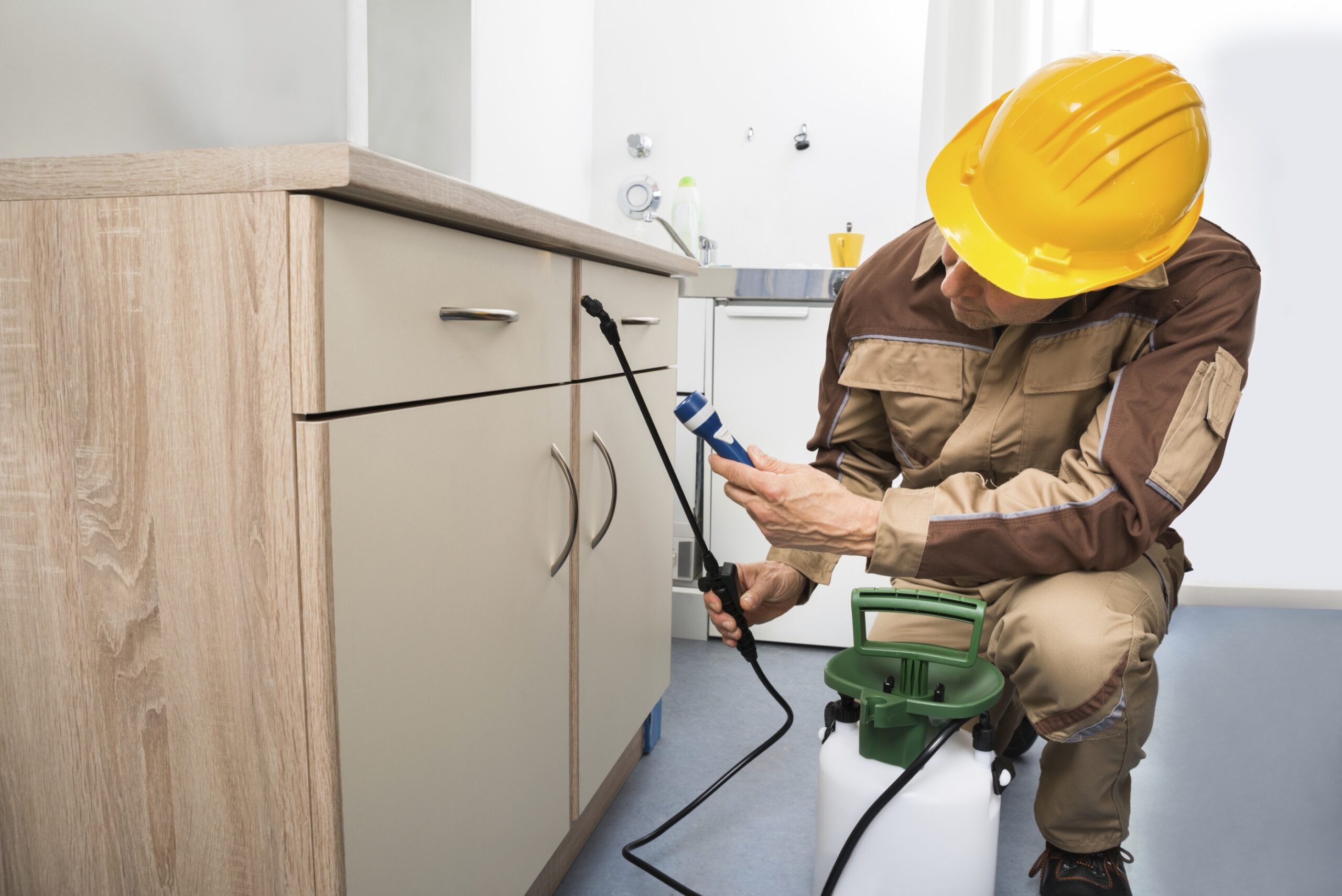 Control de plagas en Barcelona