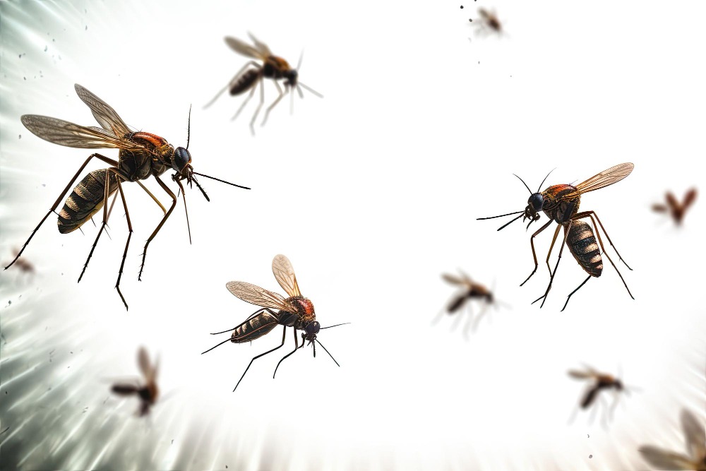 ¿Cómo eliminar plagas de mosquitos en el hogar y el exterior?