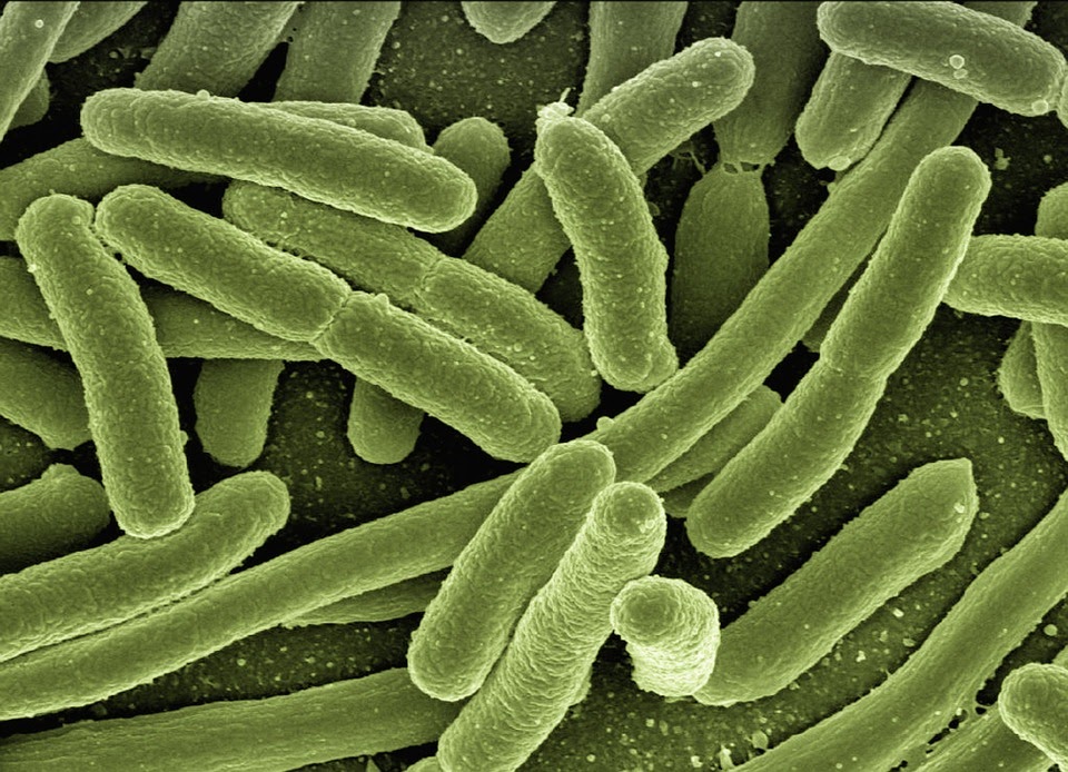 control de legionella en Barcelona