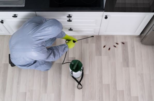 Empresas de plagas en Barcelona